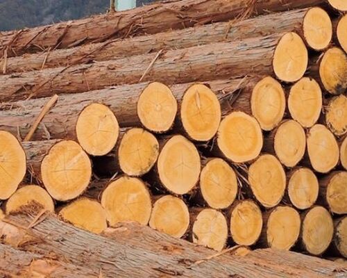 woodshock