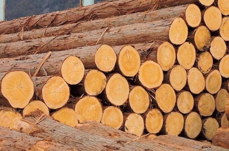 woodshock